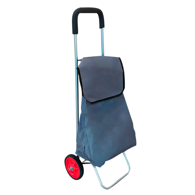 1 28879 Carro plegable lona gris